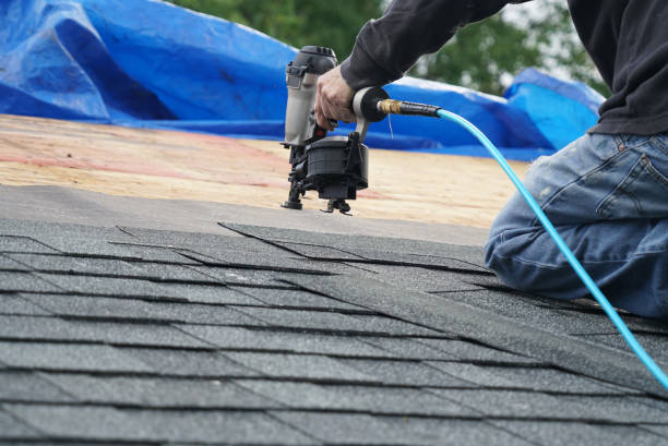 Quick and Trustworthy Emergency Roof Repair Services in Taylor, AL